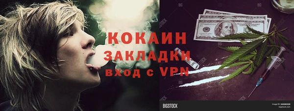 сатива Няндома