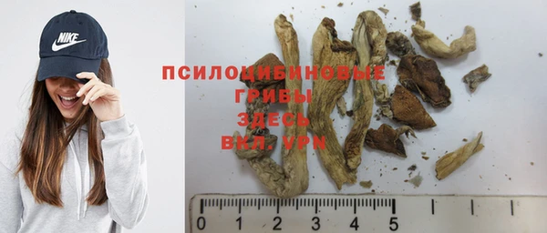 соль ск Новокубанск