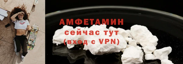 сатива Няндома