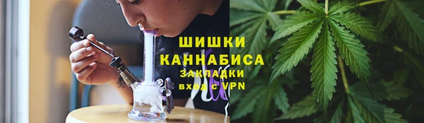 каннабис Новозыбков