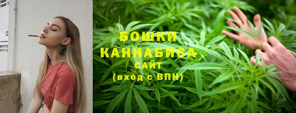 каннабис Новозыбков