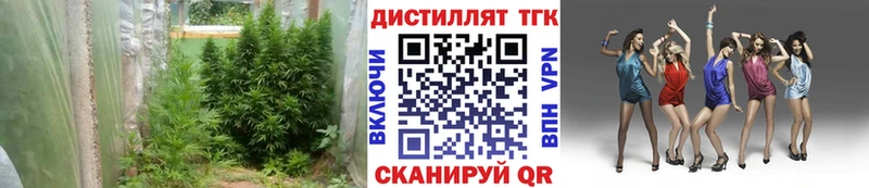 где продают наркотики  Порхов  ТГК Wax 