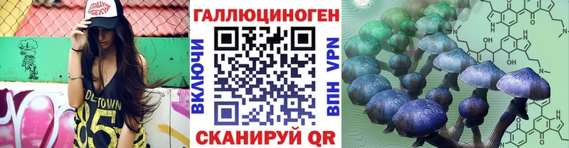 Псилоцибиновые грибы мицелий  Порхов 