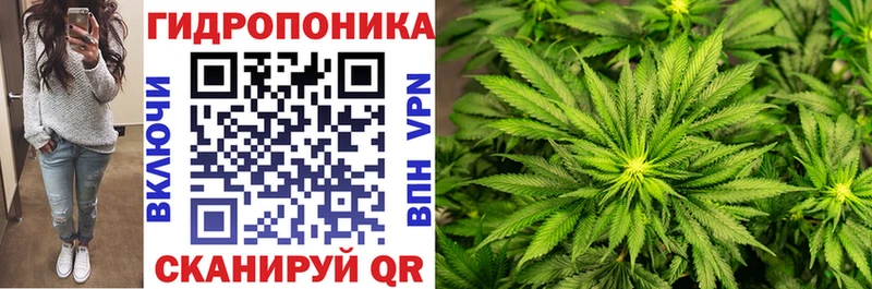 закладки  Порхов  Каннабис White Widow 